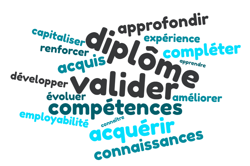 nuage de mots clés parmi lesquels les plus cités sont : diplôme, valider, compétences, approfondir, ...